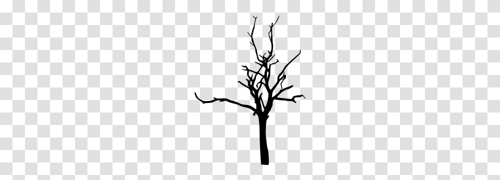 Image Result For Bare Tree Mmsins Bare Tree, Gray, World Of Warcraft Transparent Png