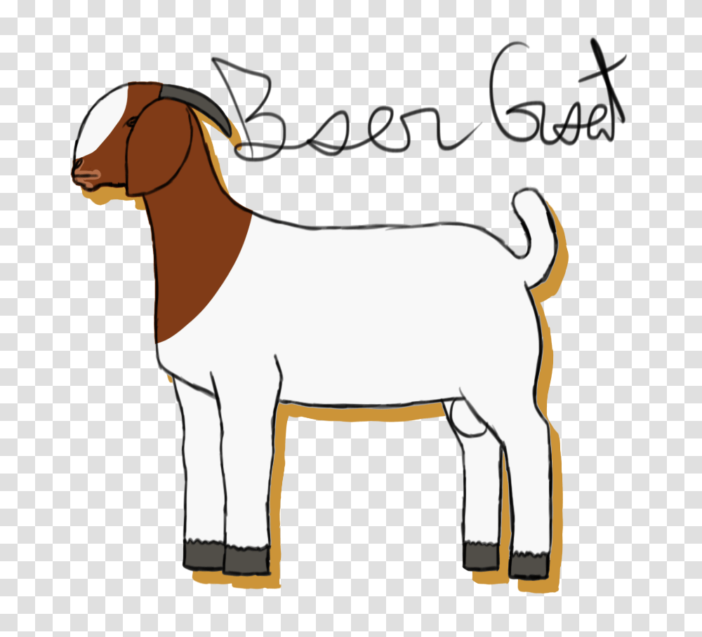 Image Result For Boer Goat Face Birthday Parties, Mammal, Animal, Horse, Donkey Transparent Png