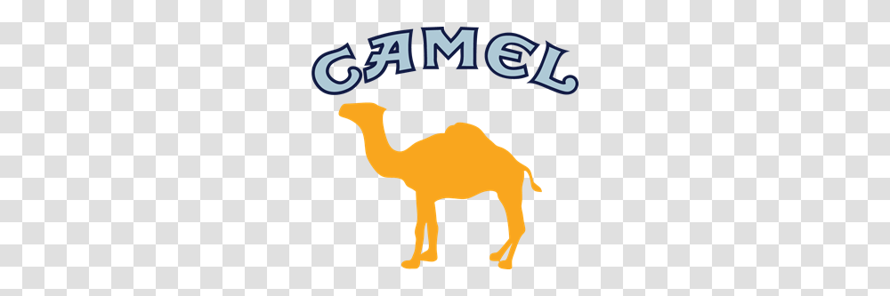 Image Result For Camel Cigarettes Logo Word Visuals, Poster, Advertisement, Mammal, Animal Transparent Png