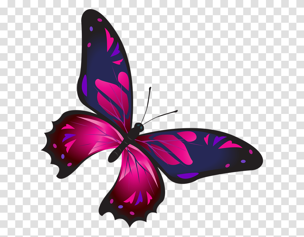 Image Result For Flower Butterflies Birds Borders Line, Plant, Blossom, Purple, Petal Transparent Png