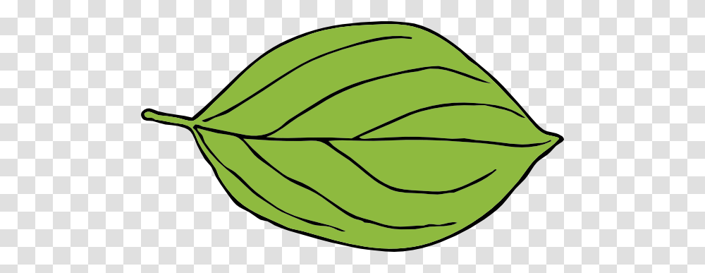 Image Result For Simple Leaf Clip Art Leo Variedad De Comidas, Plant, Vegetable, Food, Spinach Transparent Png