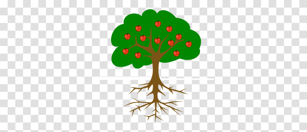 Image Result For Simple Tree Drawing With Roots And Fruit, Plant Transparent Png