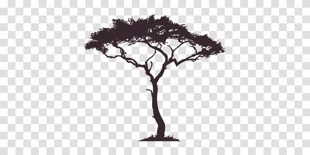 Image Result For South African Tree Drawings Tattoos, Silhouette, Plant, Stencil, Leaf Transparent Png