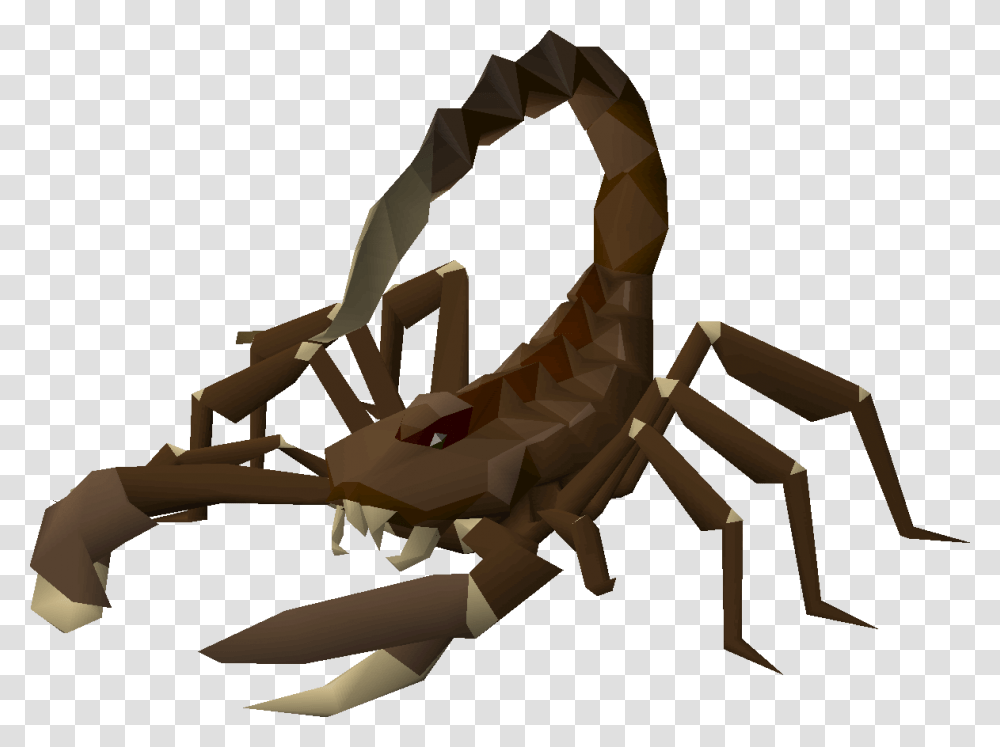 Image, Scorpion, Invertebrate, Animal Transparent Png