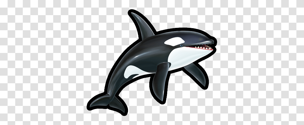 Image, Sea Life, Animal, Mammal, Orca Transparent Png