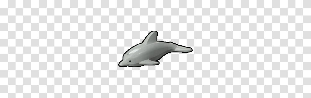 Image, Sea Life, Animal, Mammal, Shark Transparent Png