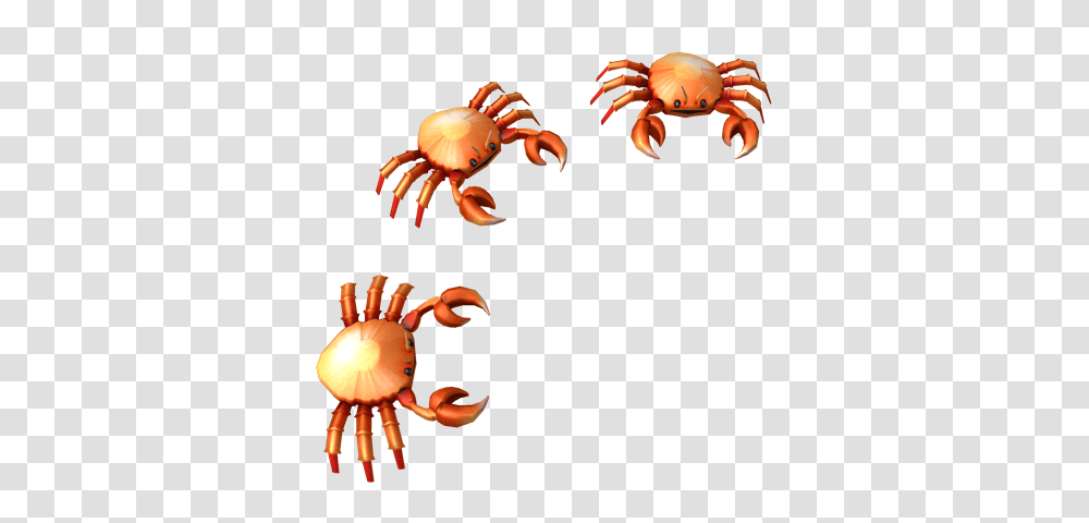 Image, Seafood, Crab, Sea Life, Animal Transparent Png