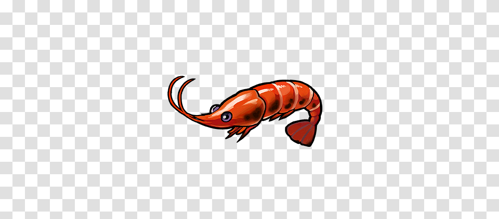 Image, Seafood, Sea Life, Animal, Shrimp Transparent Png