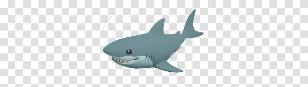 Image, Shark, Sea Life, Fish, Animal Transparent Png