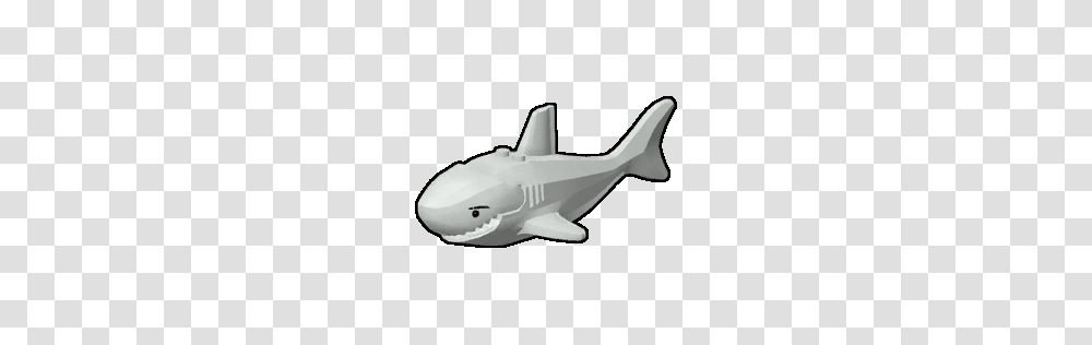 Image, Shark, Sea Life, Fish, Animal Transparent Png