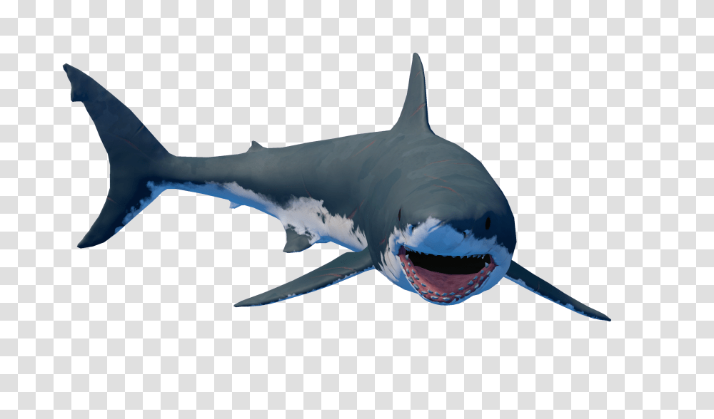 Image, Shark, Sea Life, Fish, Animal Transparent Png