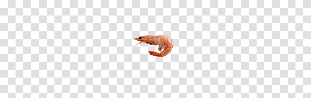 Image, Shrimp, Seafood, Sea Life, Animal Transparent Png