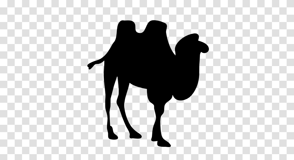 Image, Silhouette, Animal, Cow, Cattle Transparent Png