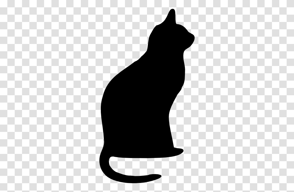 Image, Silhouette, Cat, Pet, Mammal Transparent Png