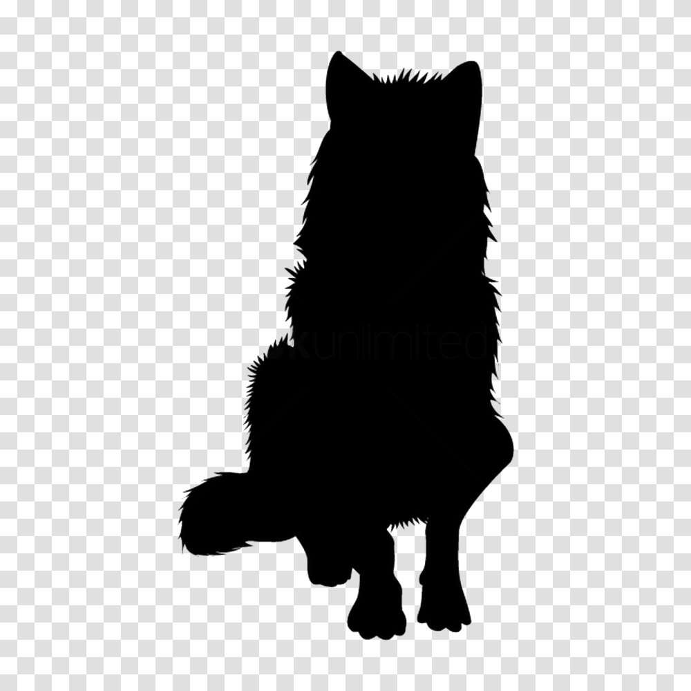 Image, Silhouette, Cat, Pet, Mammal Transparent Png