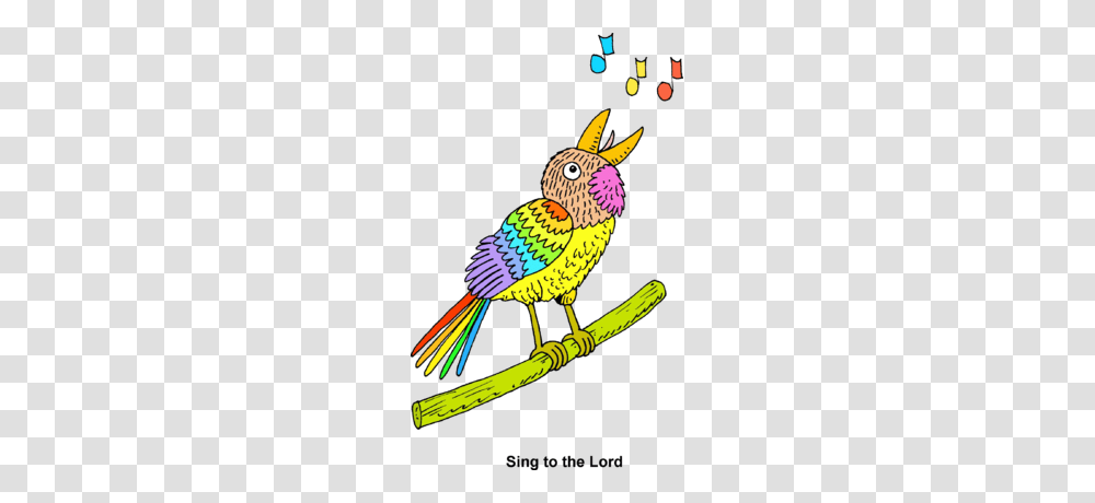 Image Singing Bird, Animal, Fishing Lure, Beak, Parrot Transparent Png