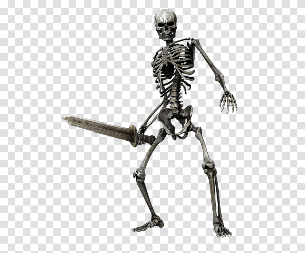 Image, Skeleton, Helmet, Apparel Transparent Png