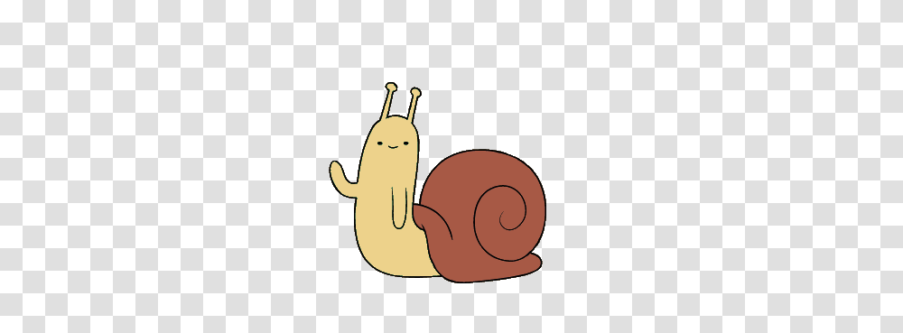 Image, Snail, Invertebrate, Animal Transparent Png