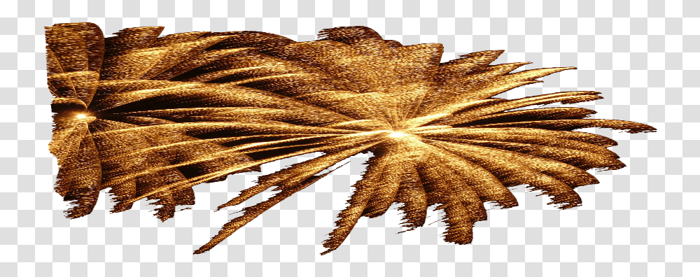Image Spectacle Feu Artifice Tony Chauvelie Fireworks, Plant, Anise, Animal Transparent Png