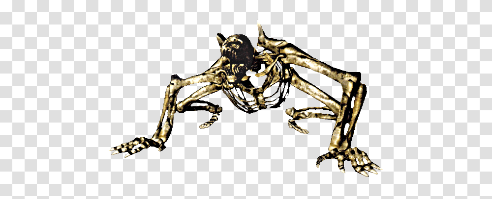 Image, Spider, Invertebrate, Animal, Arachnid Transparent Png