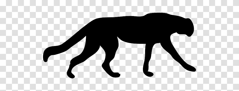 Image, Stencil, Silhouette, Dog, Pet Transparent Png