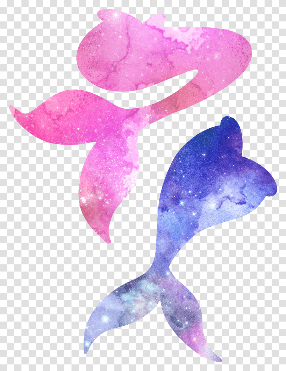 Image Stock Collection Of Free Download Clipart Watercolor Mermaid Tail Transparent Png