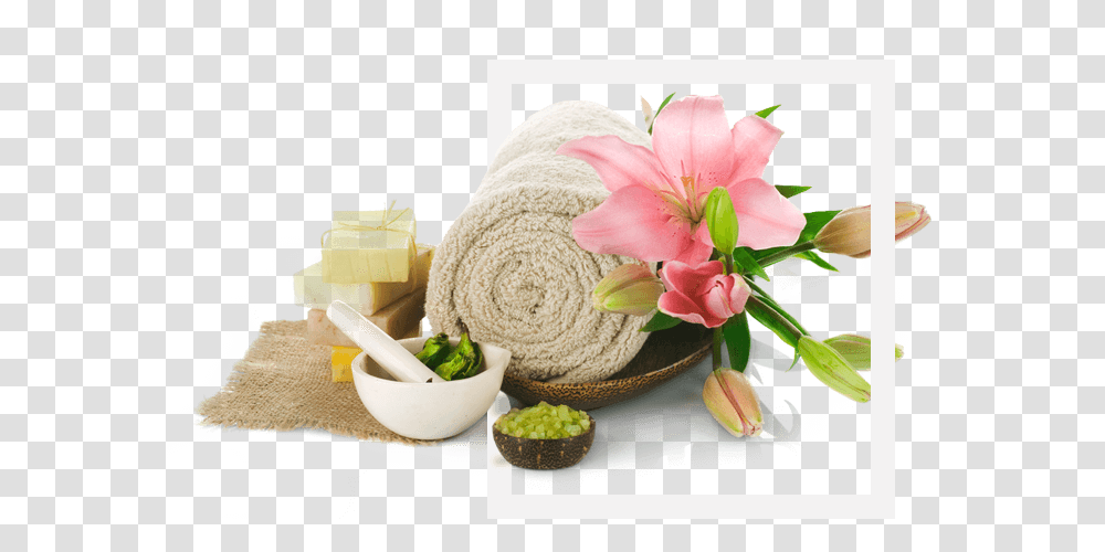 Image Studio Studio Studio Studio Frizersko Kozmeticki, Bath Towel, Plant, Flower, Blossom Transparent Png