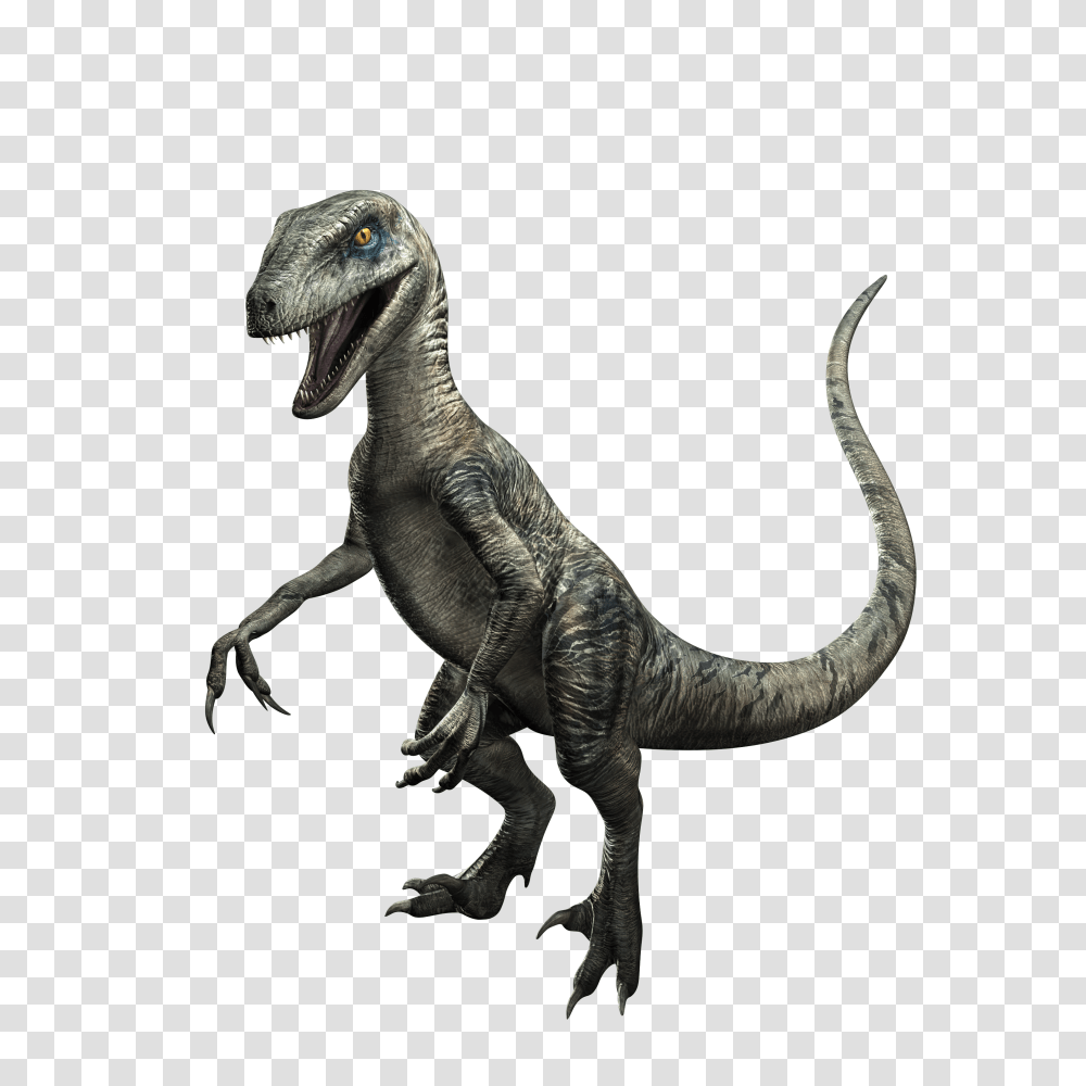 Image, T-Rex, Dinosaur, Reptile, Animal Transparent Png