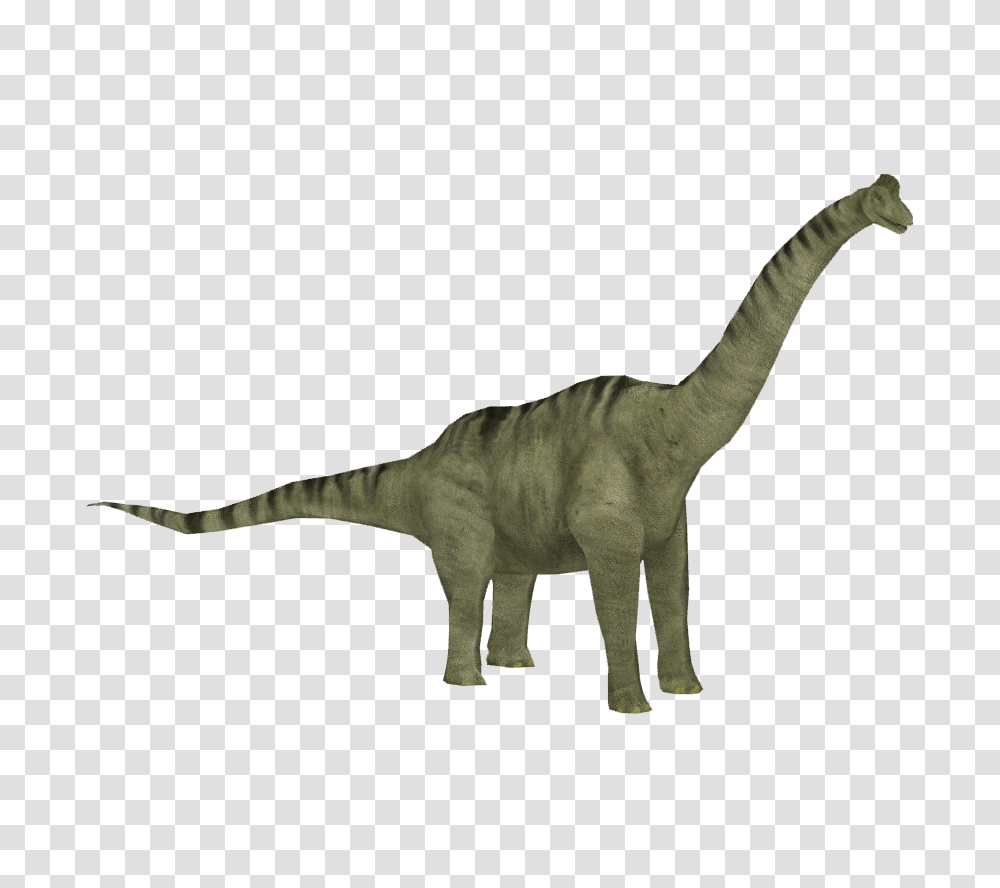 Image, T-Rex, Dinosaur, Reptile, Animal Transparent Png