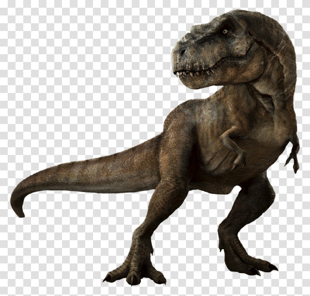 Image, T-Rex, Dinosaur, Reptile, Animal Transparent Png