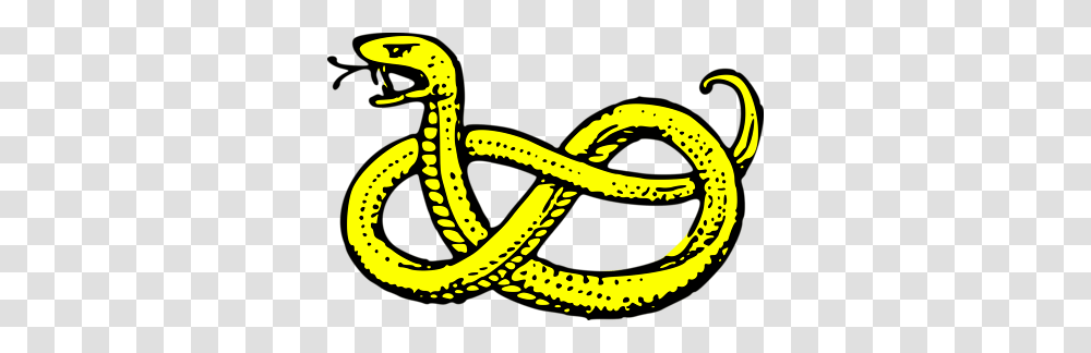 Image, Snake, Reptile, Animal Transparent Png