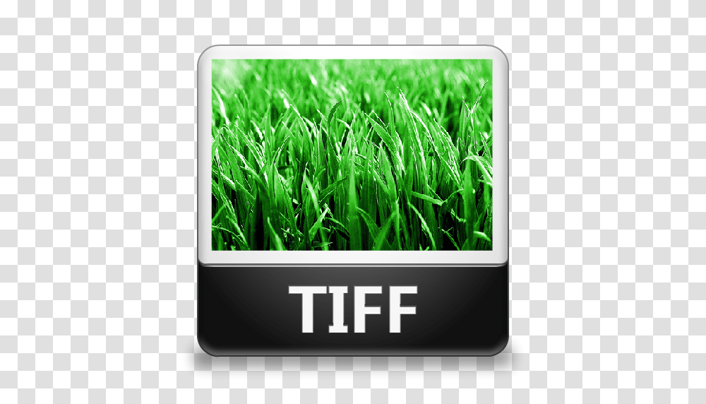 Image Tiff Icon, Grass, Plant, Lawn, Vegetation Transparent Png