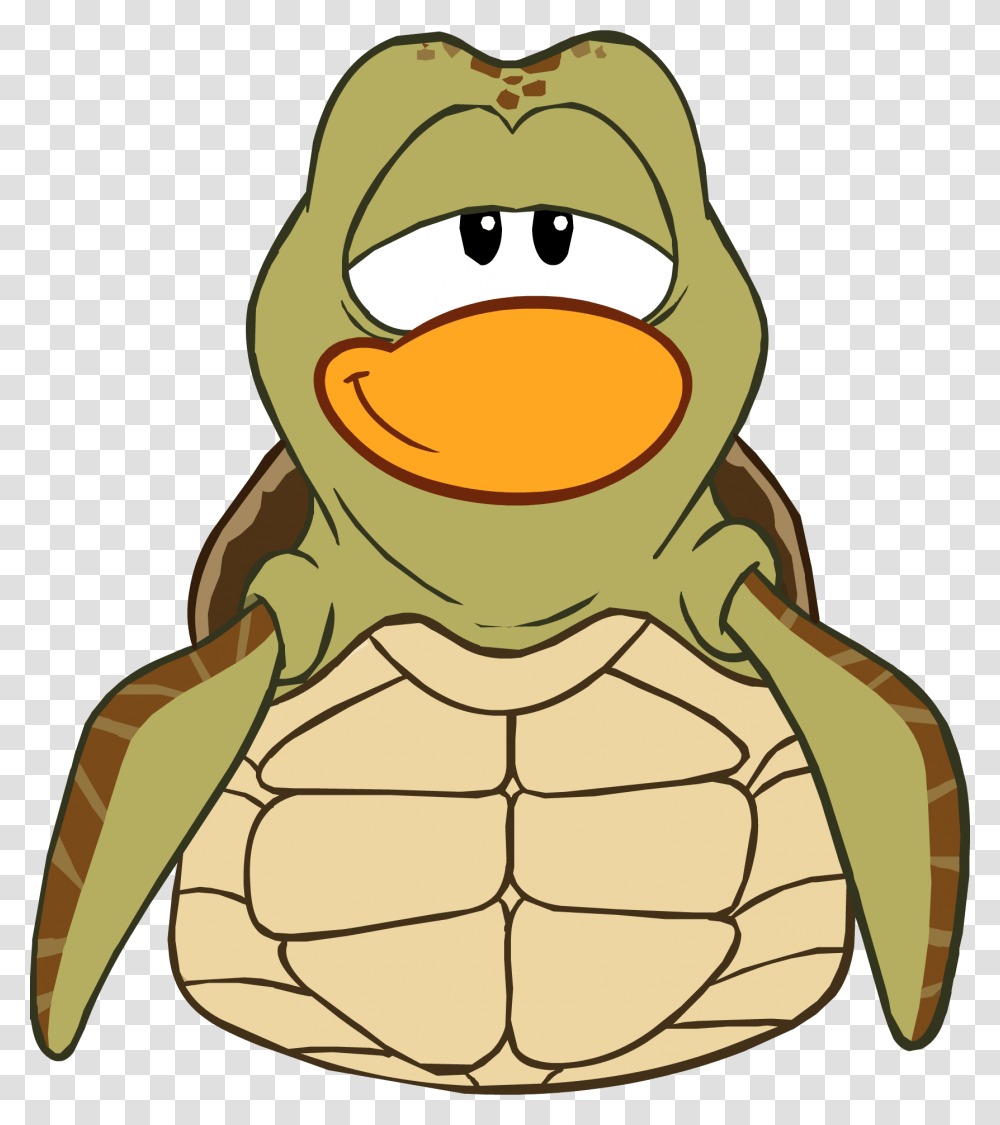 Image, Tortoise, Turtle, Reptile, Sea Life Transparent Png