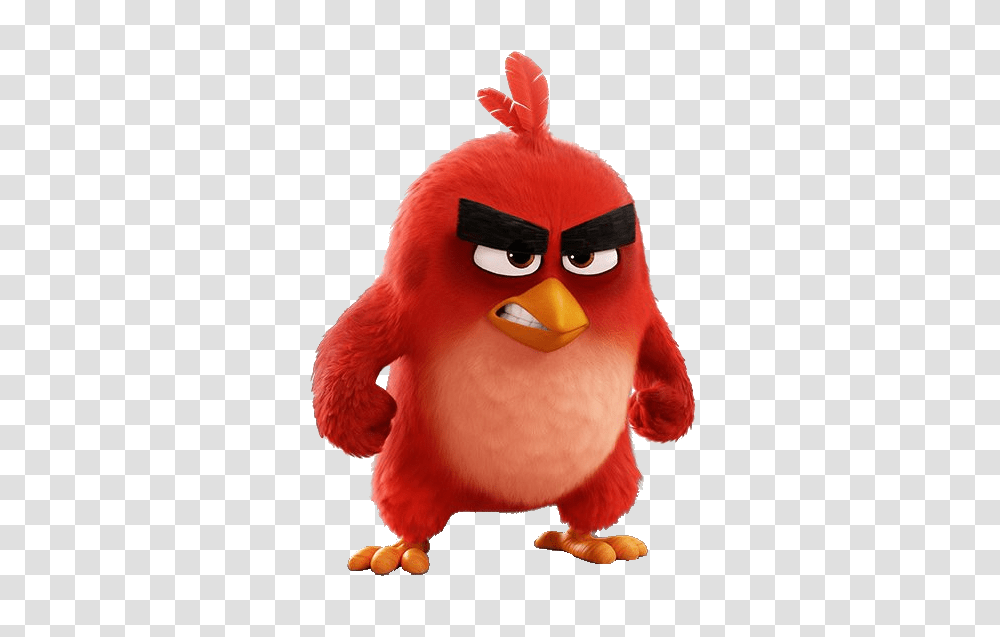 Image, Toy, Angry Birds Transparent Png