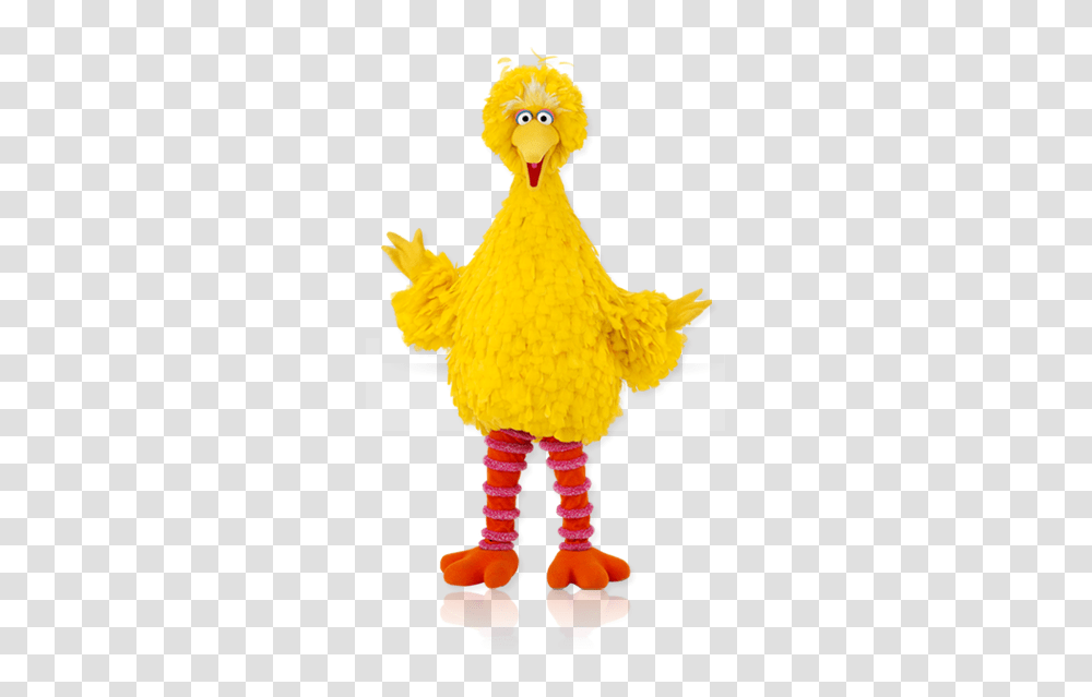 Image, Toy, Mascot, Bird, Animal Transparent Png