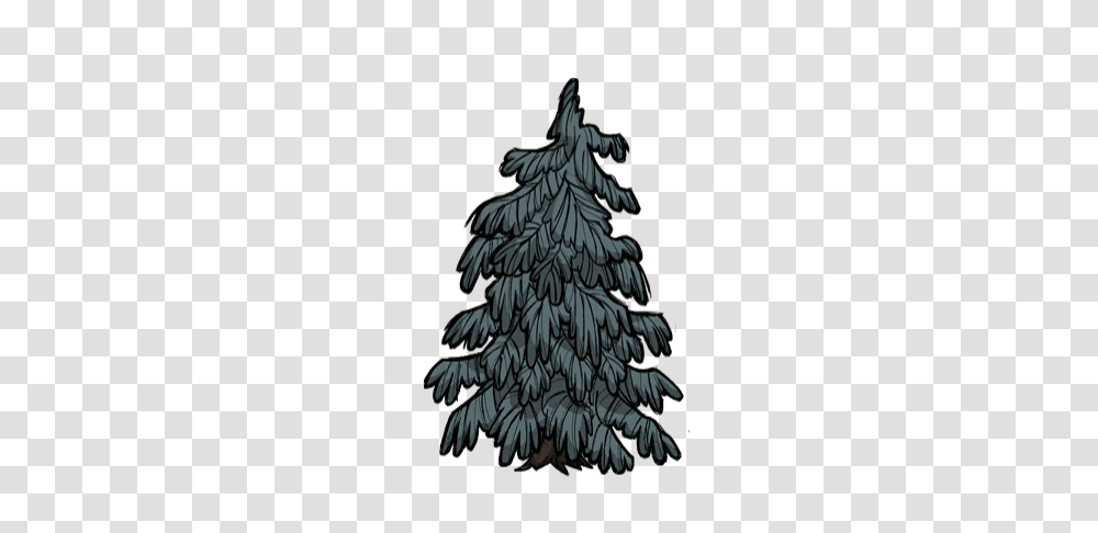 Image, Tree, Plant, Christmas Tree, Ornament Transparent Png