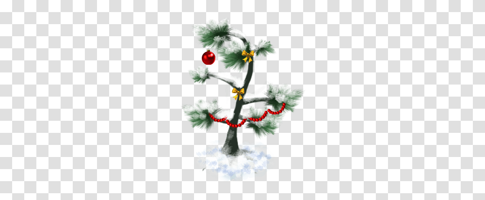 Image, Tree, Plant Transparent Png