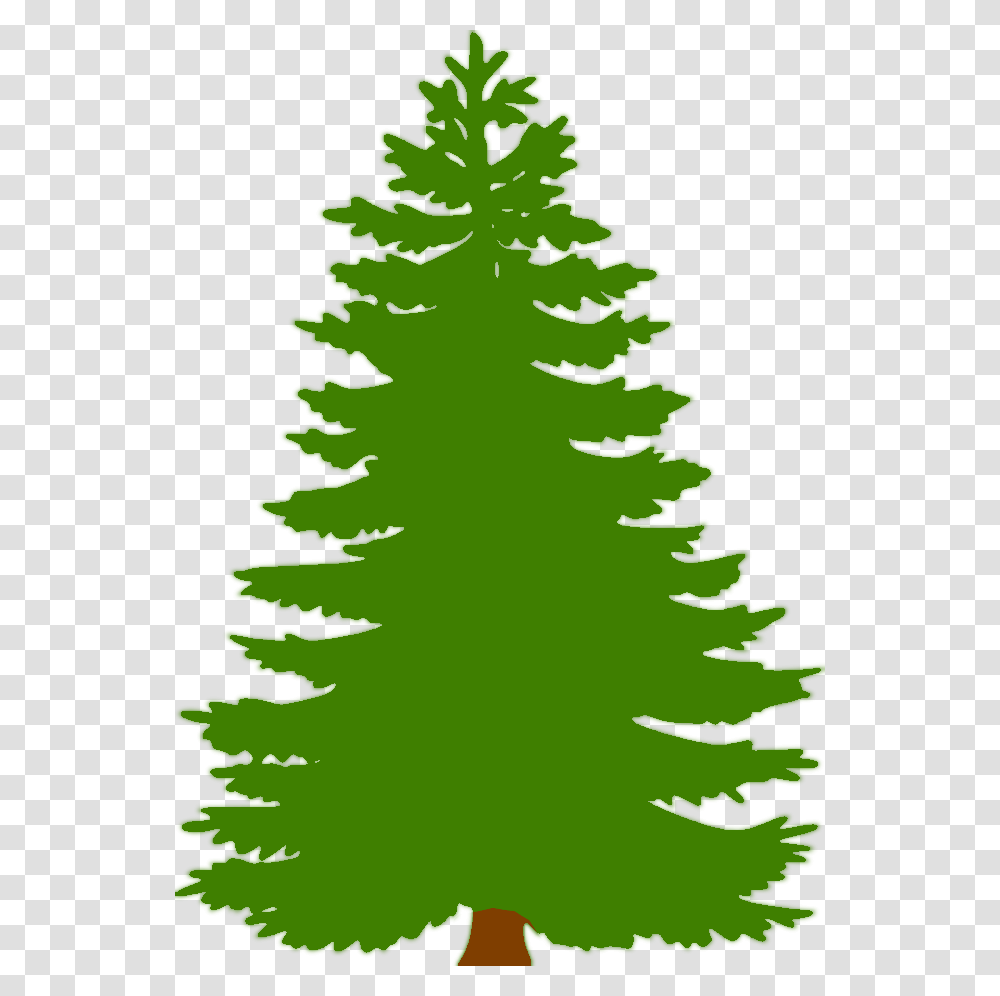 Image, Tree, Plant, Ornament, Christmas Tree Transparent Png