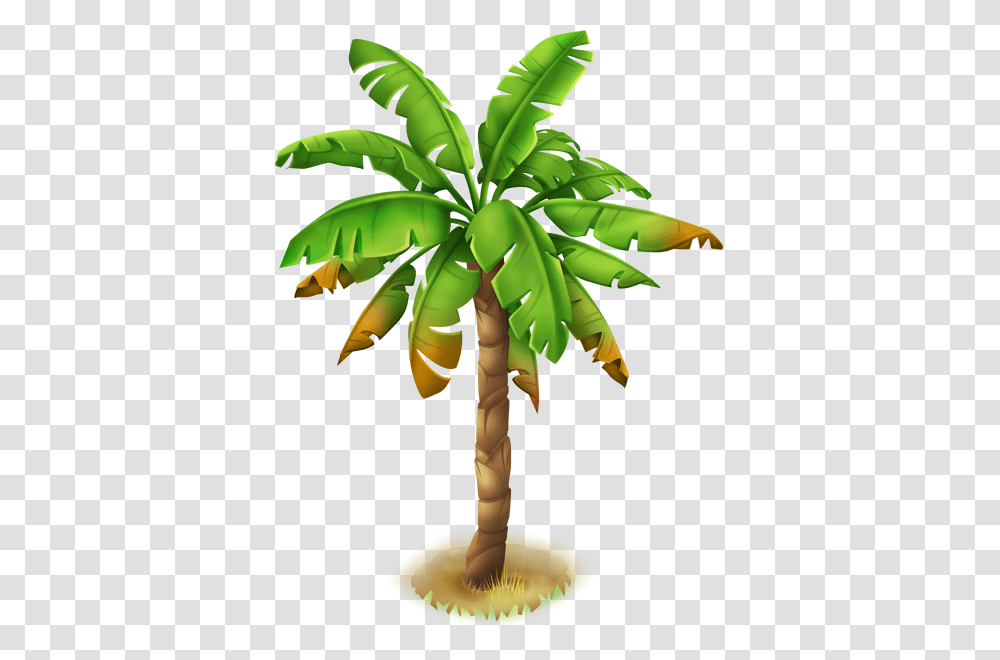 Image, Tree, Plant, Palm Tree, Arecaceae Transparent Png