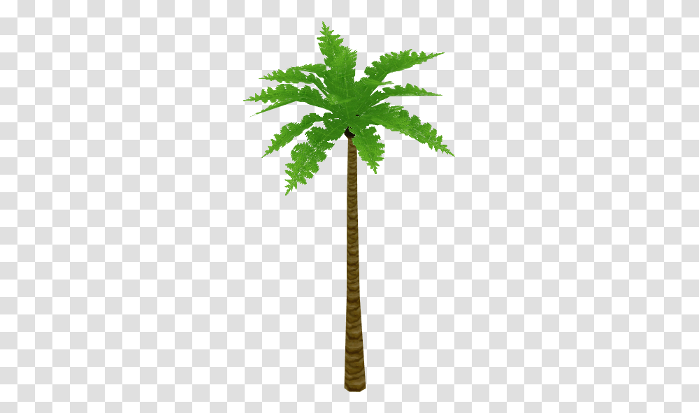 Image, Tree, Plant, Palm Tree, Arecaceae Transparent Png