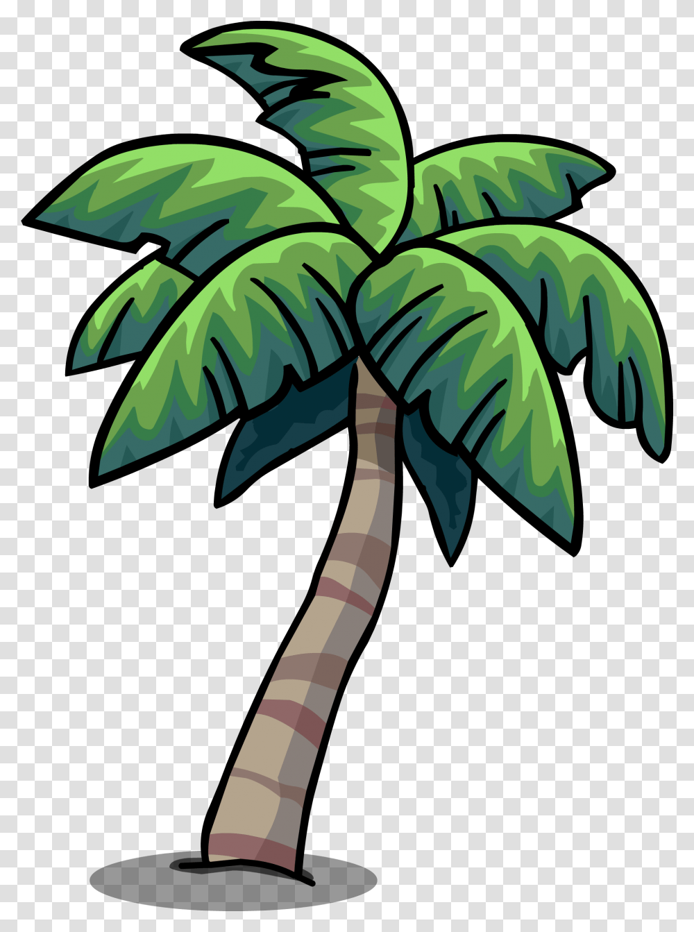 Image, Tree, Plant, Palm Tree, Vegetation Transparent Png