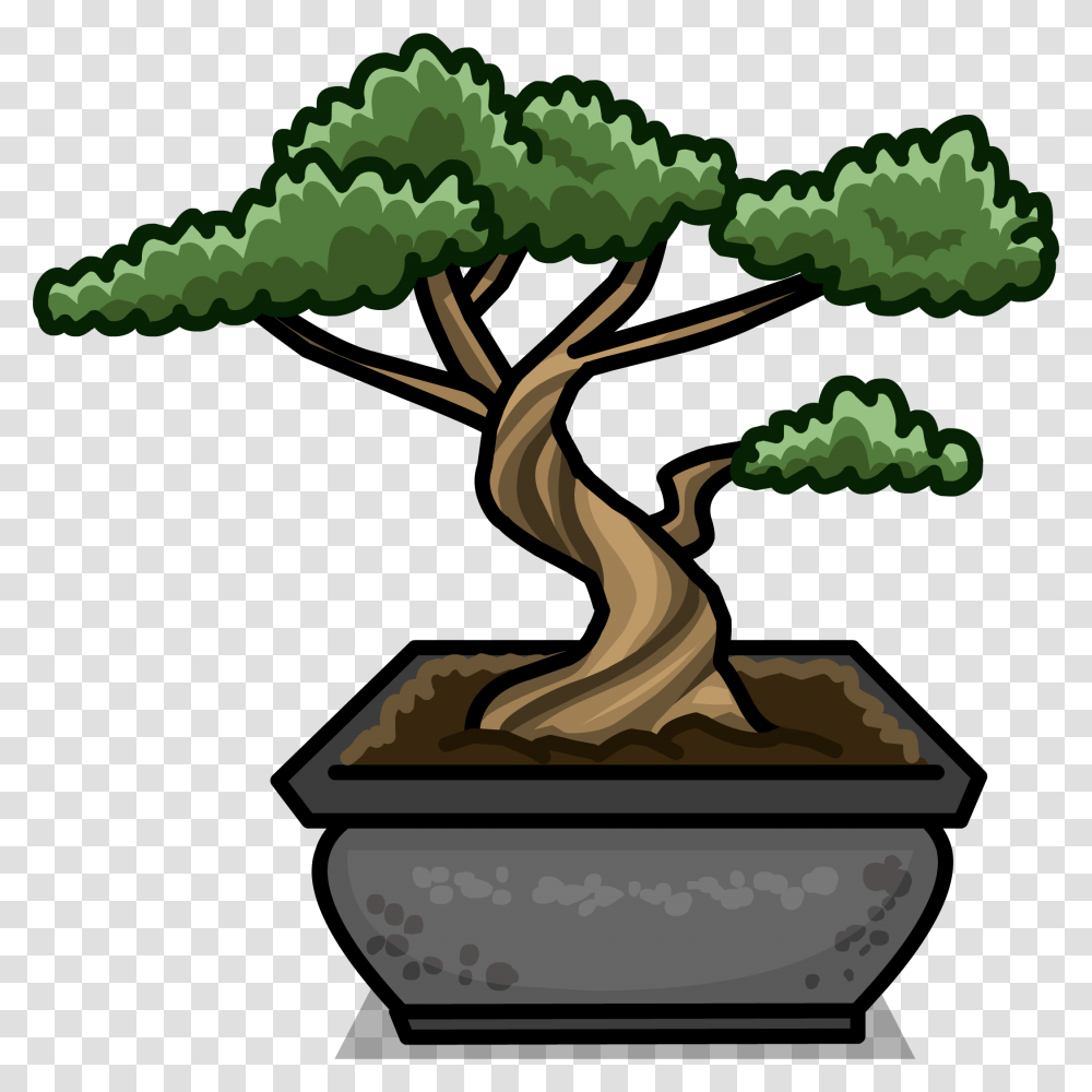 Image, Tree, Plant, Root, Bonsai Transparent Png