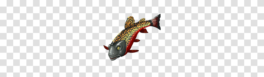 Image, Trout, Fish, Animal, Cod Transparent Png
