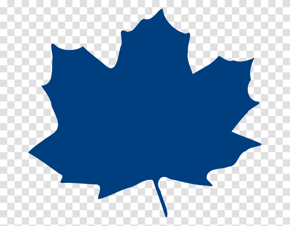 Image Vector, Leaf, Plant, Maple Leaf, Person Transparent Png