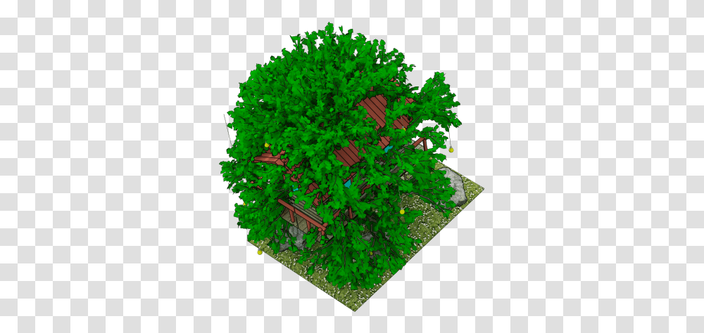 Image, Vegetation, Plant, Tree, Potted Plant Transparent Png