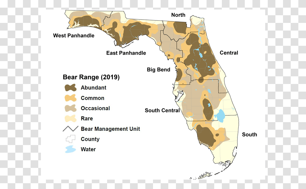 Image Via Florida Fish And Wildlife Conservation Commission Florida Bear Map 2019 Bear, Diagram, Plot, Atlas, Vegetation Transparent Png