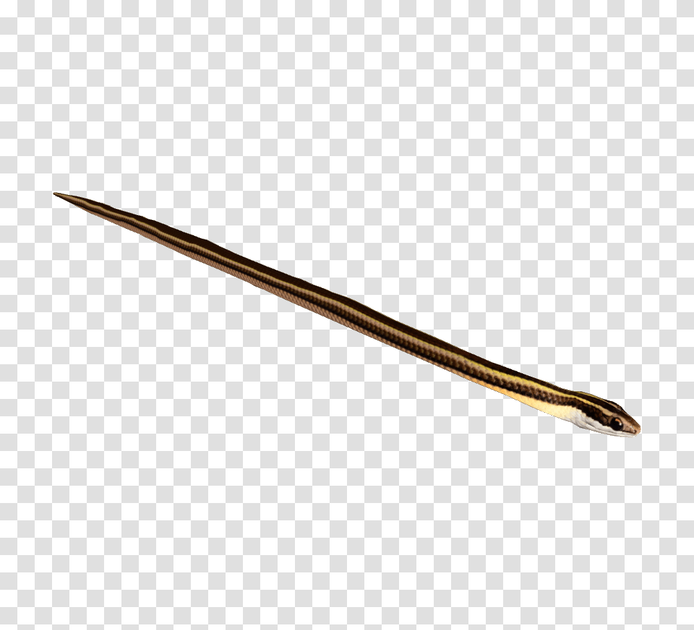 Image, Wand, Weapon, Weaponry Transparent Png
