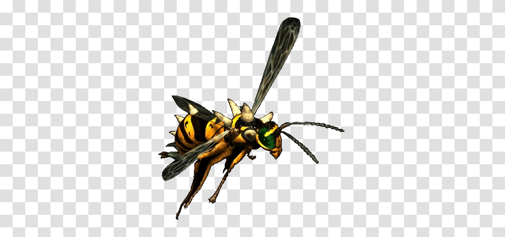 Image, Wasp, Bee, Insect, Invertebrate Transparent Png