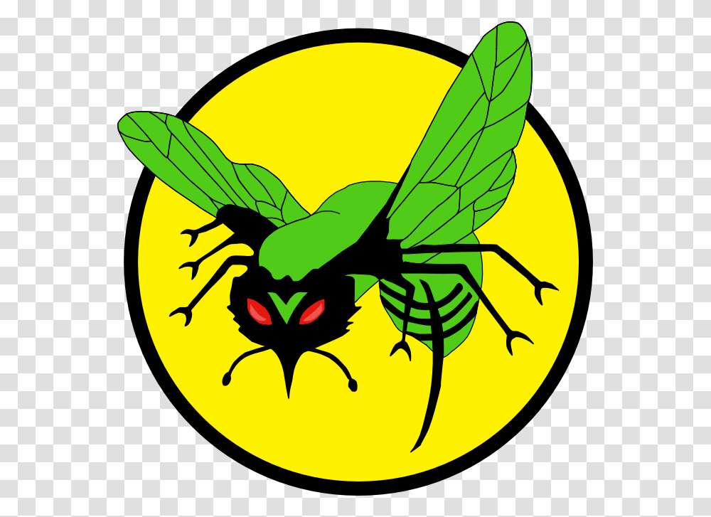 Image, Wasp, Bee, Insect, Invertebrate Transparent Png