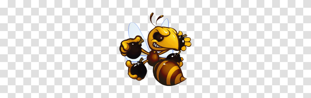 Image, Wasp, Bee, Insect, Invertebrate Transparent Png